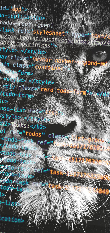 Разработка сайтов