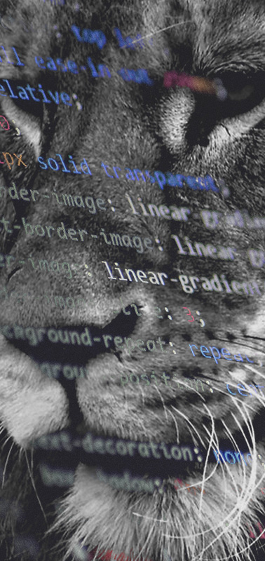 Индивидуальная разработка сайтов