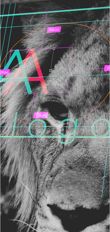 Разработка логотипов