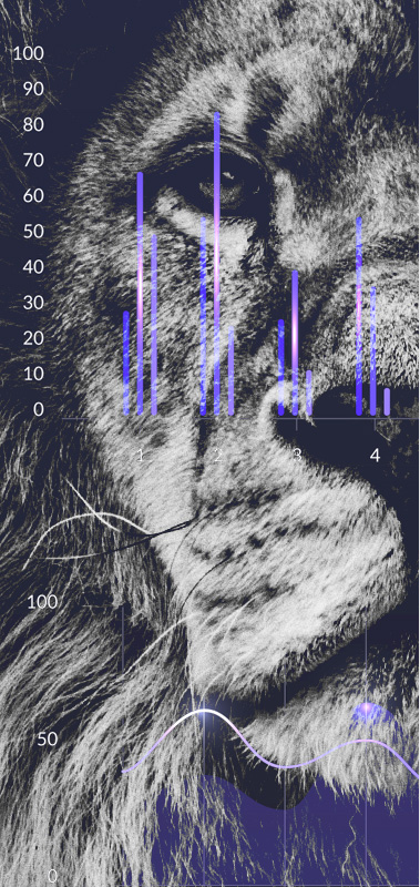 Маркетинг и реклама