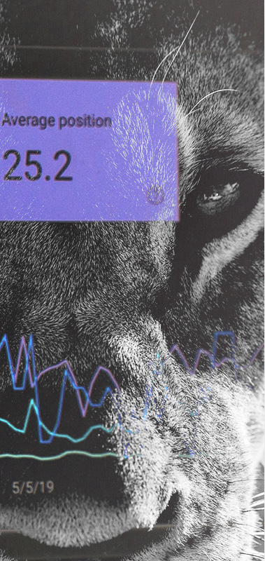 SEO продвижение