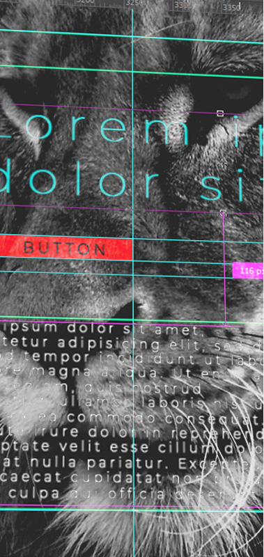 Дизайн сайтов