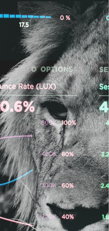 SMM - продвижение